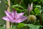 DSC_7886.jpg