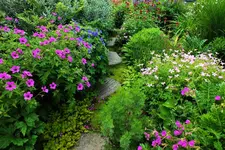DSCF6398 (2).webp