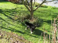 IMG_1491 v (1).webp