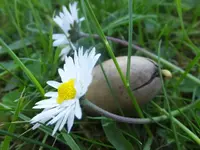 25456609tq.webp
