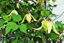 DSCF6399 (2).webp