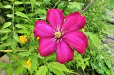 DSCF6358 (2).jpg