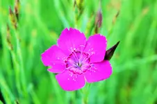 DSCF6396 (2).webp