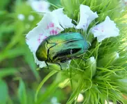 DSCF6432 (3).webp