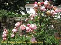 IMG_6432.webp