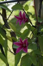 _DSC0614.webp