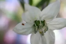 126.webp