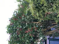 image.webp