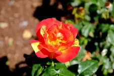 2016-06-20-9072 - Kopie.webp
