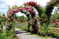 2016-06-20-9082 - Kopie.webp