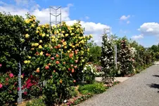 2016-06-20-9084 - Kopie.webp