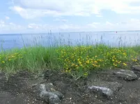 CIMG2648.webp