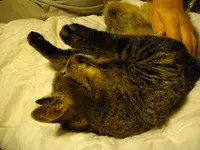 IMGP2924.webp