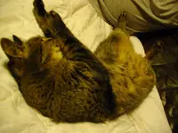 IMGP2925.webp