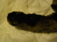 IMGP2928.webp