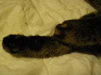 IMGP2929.webp