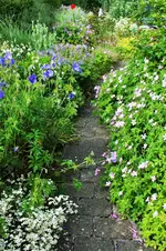 DSCF6409 (2).webp