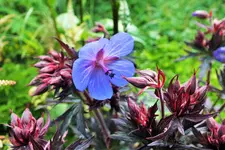 DSCF6390 (2).webp