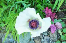 DSCF6472 (2).webp