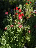 DSCN4182.jpg