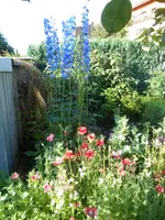 DSCN4183.webp