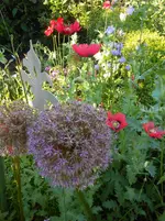 DSCN4192.webp