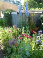 DSCN4193.webp