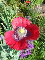 DSCN4171.webp