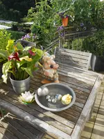 DSCN4166.webp