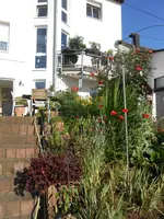 DSCN4201.webp