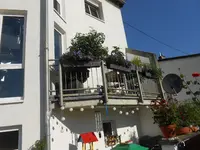 DSCN4202.webp