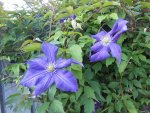 DSCN4185.jpg