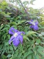 DSCN4184.webp