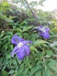 DSCN4184.jpg