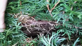 20160620_190012.jpg