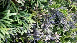 20160620_185951.webp