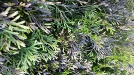 20160620_185947.jpg