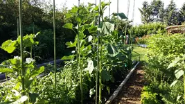 20160624_081507.webp