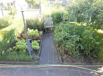 DSCN4199.jpg
