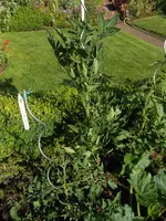 DSCN4178.webp