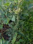 DSCN4180.jpg