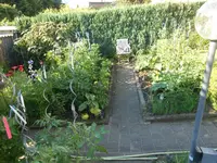 DSCN4198.jpg