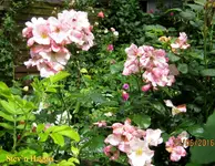 IMG_6429.webp