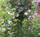 IMG_6341.jpg