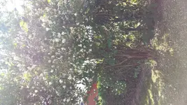20160624_120025.webp