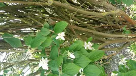20160624_120015.webp