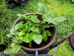 20160624_154455.jpg