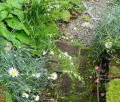 IMG_6471 (2).webp