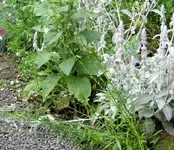 IMG_6476 (2).webp