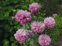 022.webp
